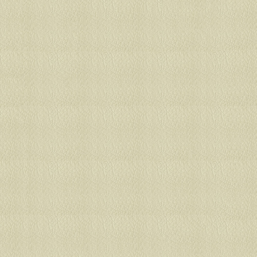 Whisper - Image 17