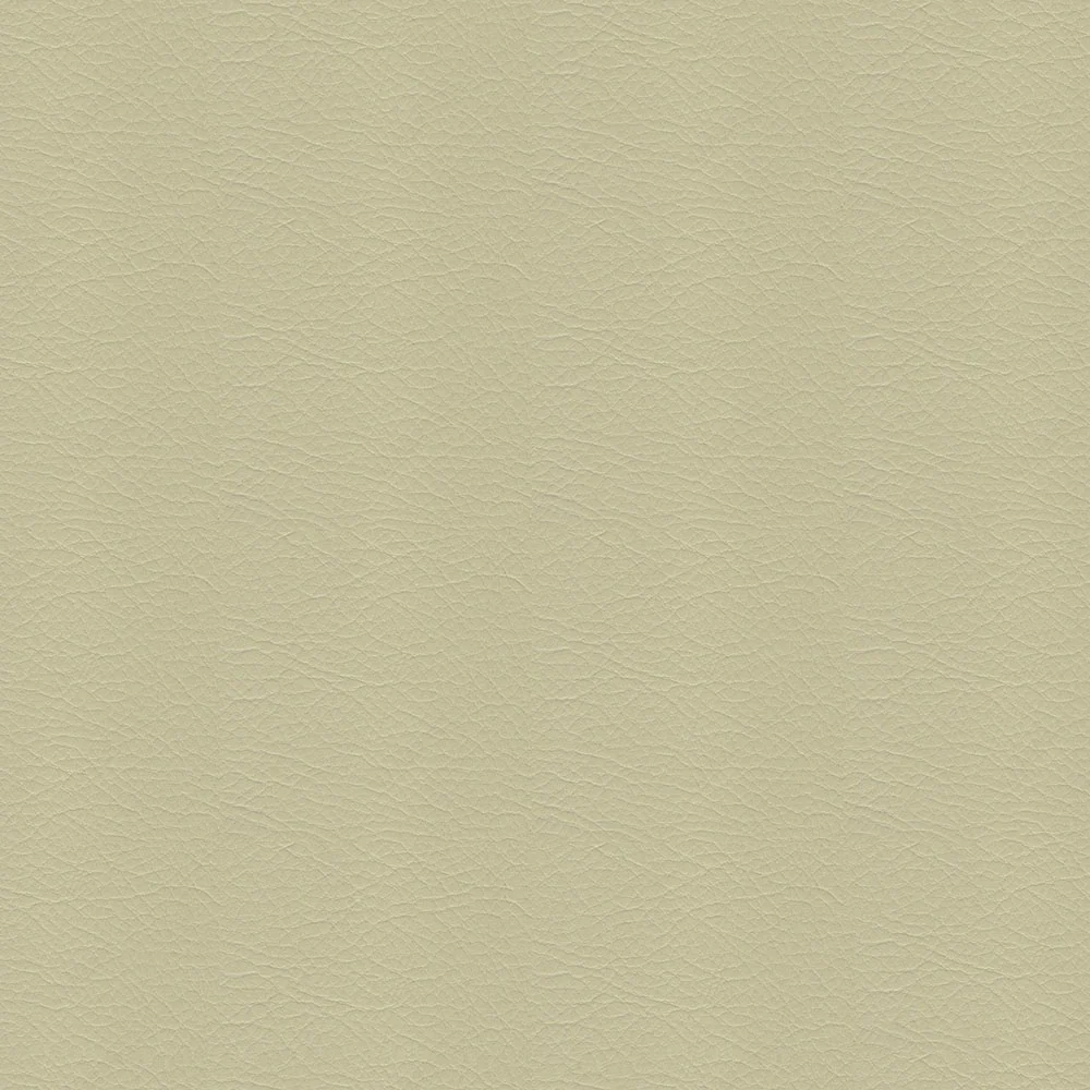 Whisper - Image 5