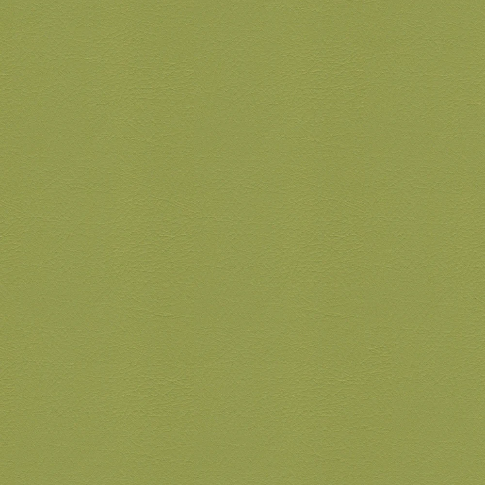 Whisper - Image 9