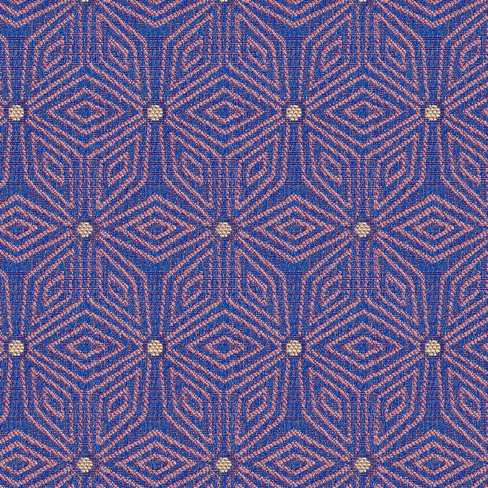 Wonder - Image 3