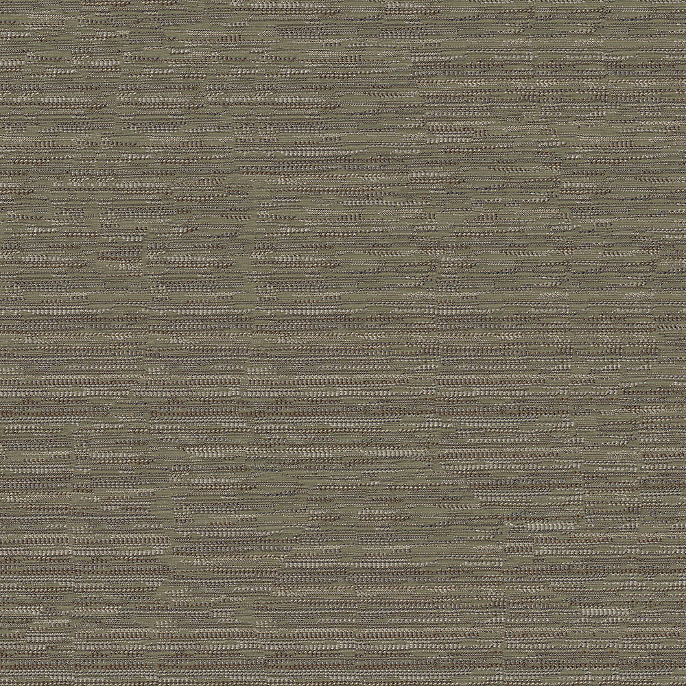 Wren - Image 27